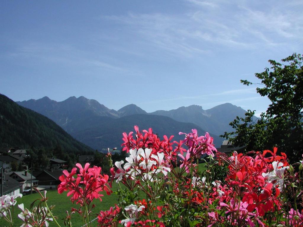 Gasthof Lechner Rasun di Sopra Bilik gambar